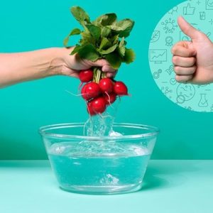 Noções de Higiene e Segurança Alimentar