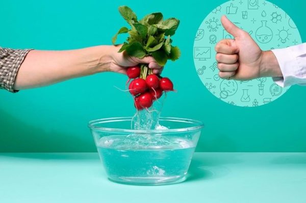Noções de Higiene e Segurança Alimentar